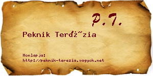 Peknik Terézia névjegykártya