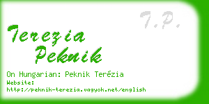 terezia peknik business card